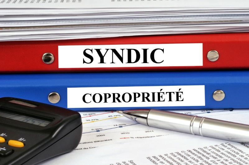mise en copropriété